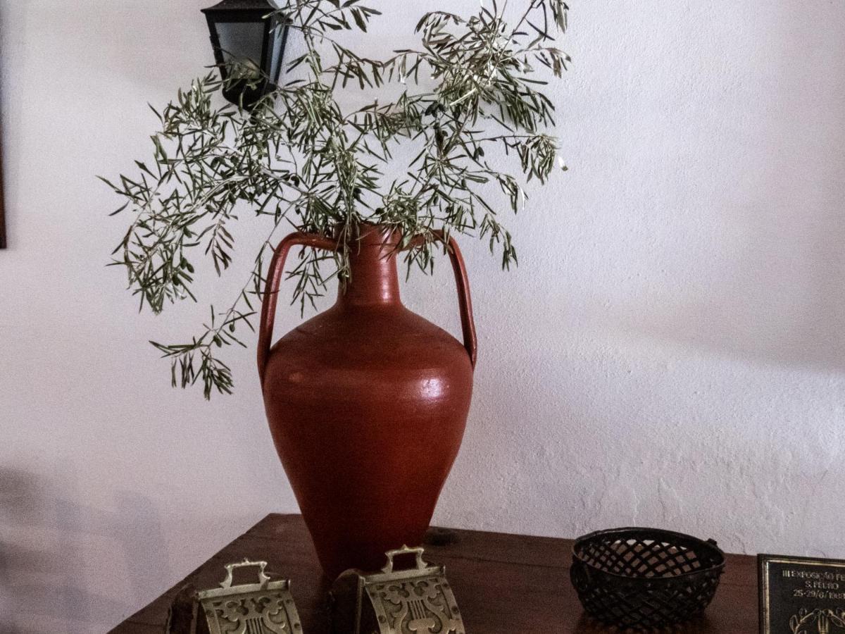 Monte Das Oliveiras アライオロス エクステリア 写真