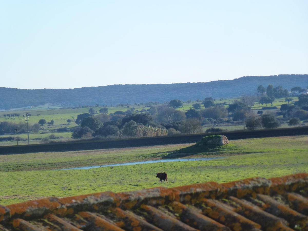 Monte Das Oliveiras アライオロス エクステリア 写真